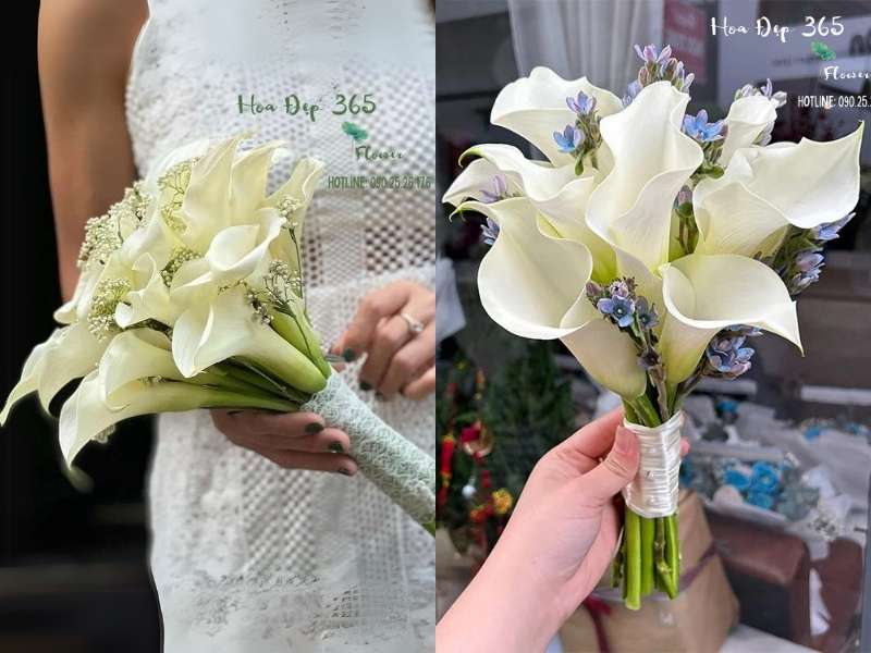 Mẫu hoa cưới cầm tay Rum Trắng - HC21 và  Mẫu hoa cưới cầm tay Whispers Of The Heart - HC50 tại Flosa