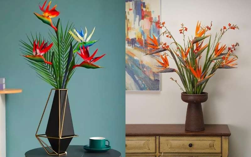 Hoa Thiên Điểu cũng có thể được kết hợp đơn giản với những loại lá khác nhưng vẫn rất kiêu sa