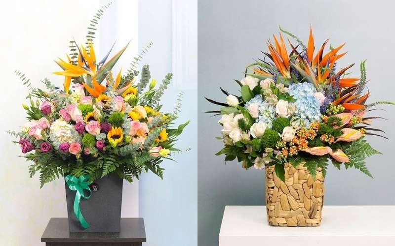 Hoa Thiên Điểu còn có thể được mix với hoa Hồng hoặc hoa Hướng Dương để tạo điểm nhấn