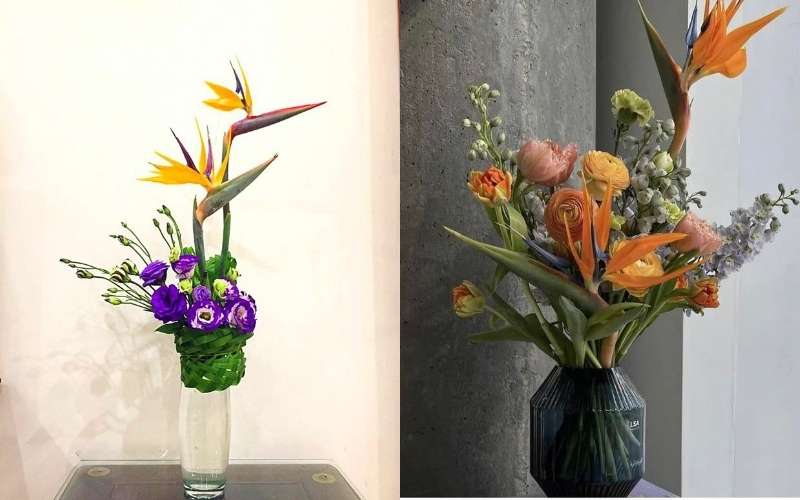 Một bình Thiên Điểu có thể mix với một ít hoa đơn giản, hoặc với nhiều hoa cầu kỳ hơn