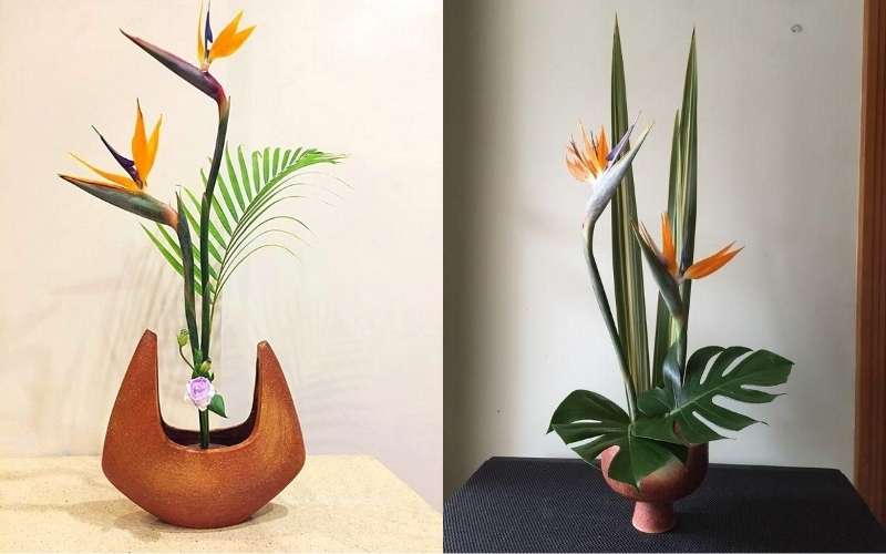 Đối với kiểu bộ đôi, cần chọn ra 2 bông Thiên Điểu và cắm cùng hướng về nhau hoặc hướng về 1 phía