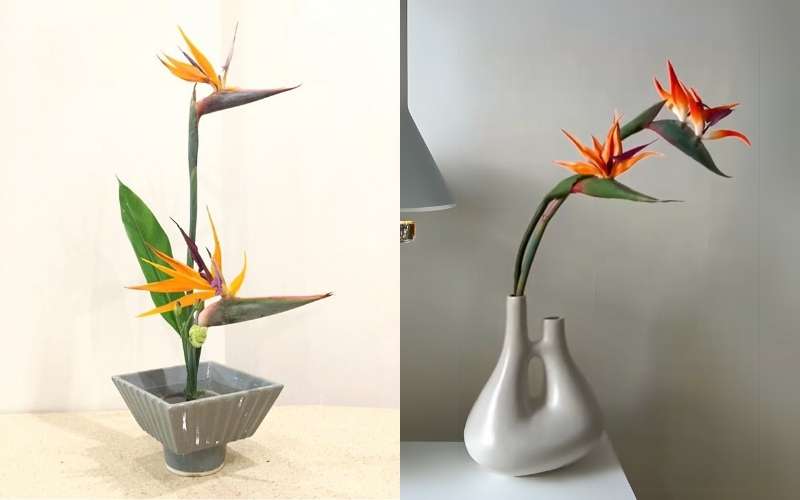 Ý nghĩa của việc cắm hoa theo kiểu bộ đôi là tạo sự gắn kết, tượng trưng cho tình yêu đôi lứa