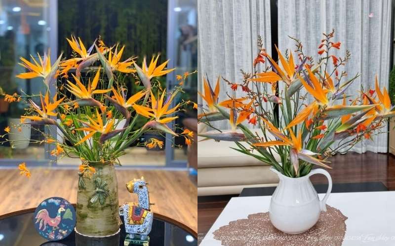 Chọn 1,3 hoặc 5 cành Thiên Điểu (số lẻ) và thực hiện cắm thẳng vào bình dáng lọ cao, cổ hẹp