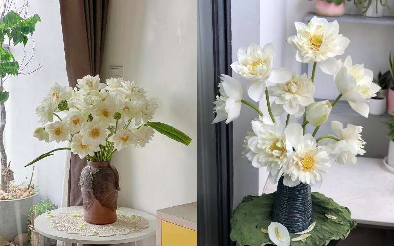 Hoa sen trắng được cắm với thiết mộc lan mang một màu trắng tươi, tinh khiết
