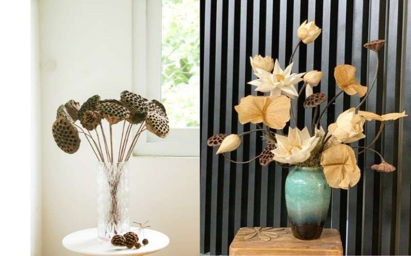 Hoa sen khô đã dược sấy hoặc phơi khô đúng cách vẫn có thể giữ được màu sắc và hình dáng của hoa