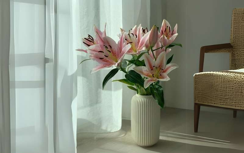 Hoa ly tượng trưng cho sự thành công, may mắn và hạnh phúc