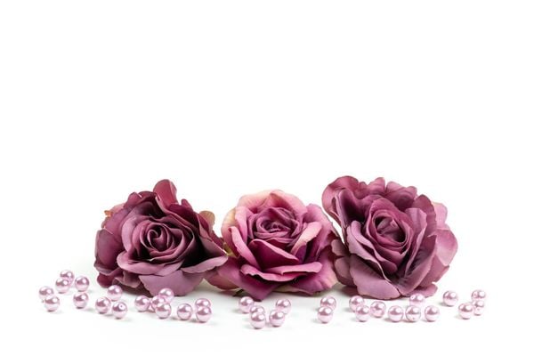 loài hoa tượng trưng cho sự chờ đợi - hoa hồng tím