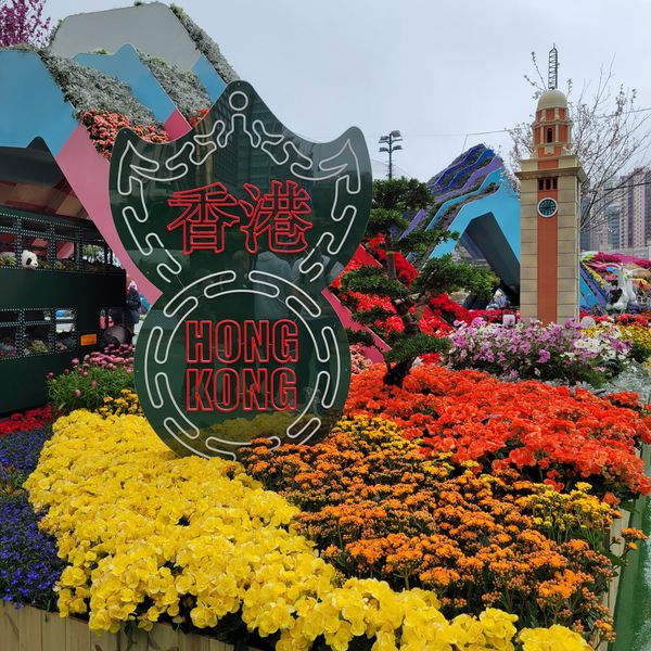 Hong Kong Flower