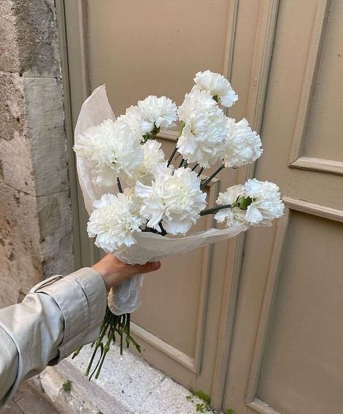 hoa bó cẩm chướng trắng
