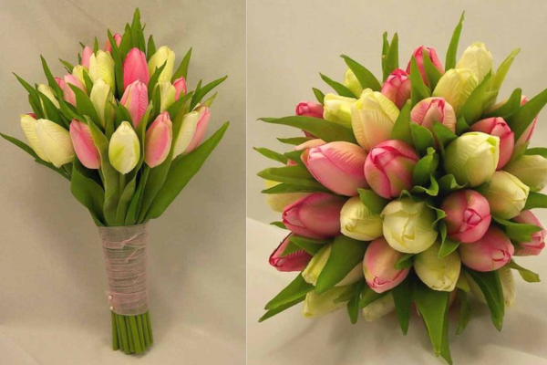 hoa cưới tulip