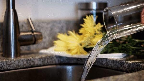 Thay nước thường xuyên giúp ngăn chặn sinh sản của vi khuẩn