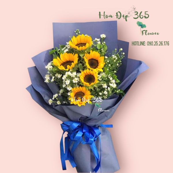 Bó hoa Hướng Dương tặng cô 20/11 ý nghĩa