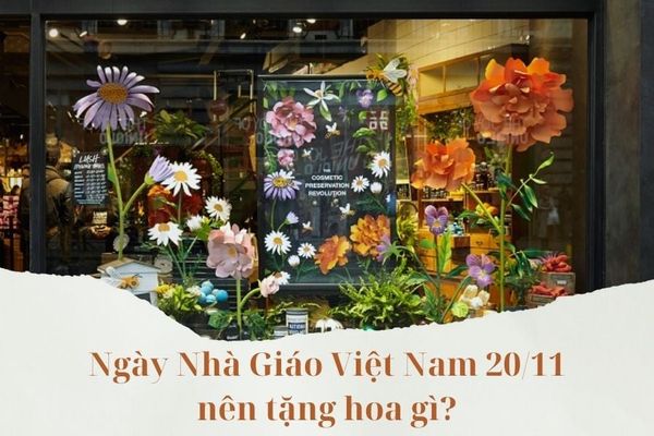 Tổng hợp những loài hoa nên tặng vào ngày nhà giáo Việt Nam 20/11