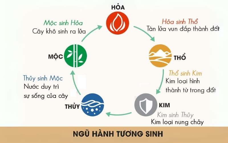 Chúng ta có thể áp dụng quy luật ngũ hành tương sinh để lựa chọn loại hoa hợp với mệnh Thủy