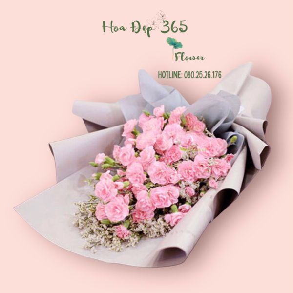 Hoa cẩm chướng được sinh đi ra dành riêng cho ngày của mẹ