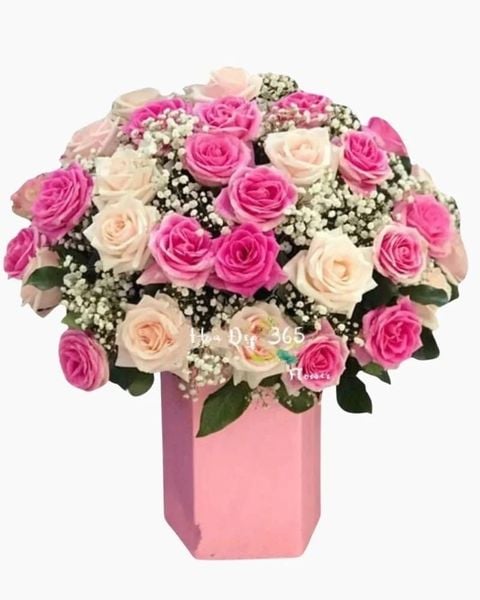 Hộp hoa Sắc Hồng - Món quà sinh nhật rực rỡ sắc màu của nhà Flosa