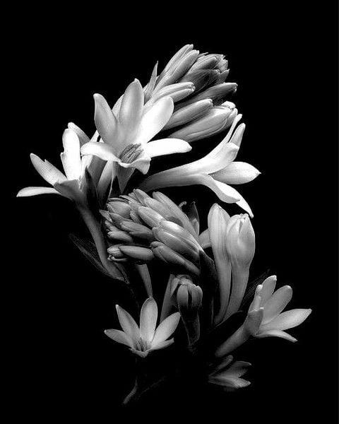 Hình nền đám tang Công giáo