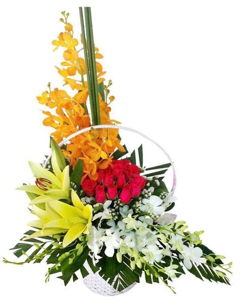 Giỏ hoa chúc mừng năm học mới Vững Mạnh