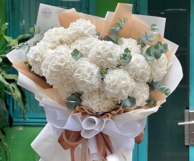 Bó hoa cẩm tú cầu trắng mang ý nghĩa thuần khiết, trong sáng