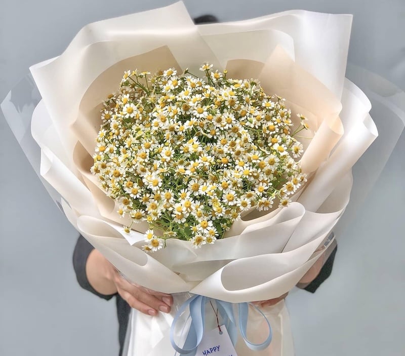 Bó Baby Mix Cúc Tana