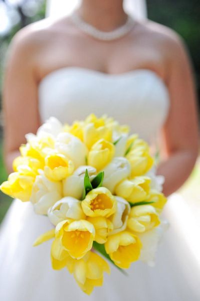 hoa cưới tulip trắng mix vàng