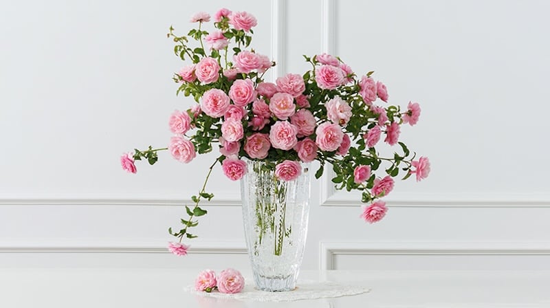 Ảnh những đoá hồng tươi thắm gửi tặng sinh nhật thật dễ thương