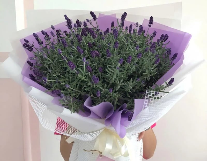 Bó oải hương thơm nồng nàn làm hoa sinh nhật tặng bạn gái