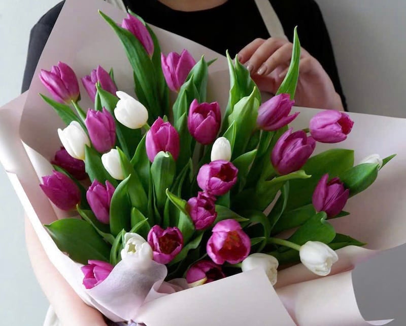 Bó hoa tulip - hoa chúc mừng sinh nhật chị gái sang trọng và cuốn hút