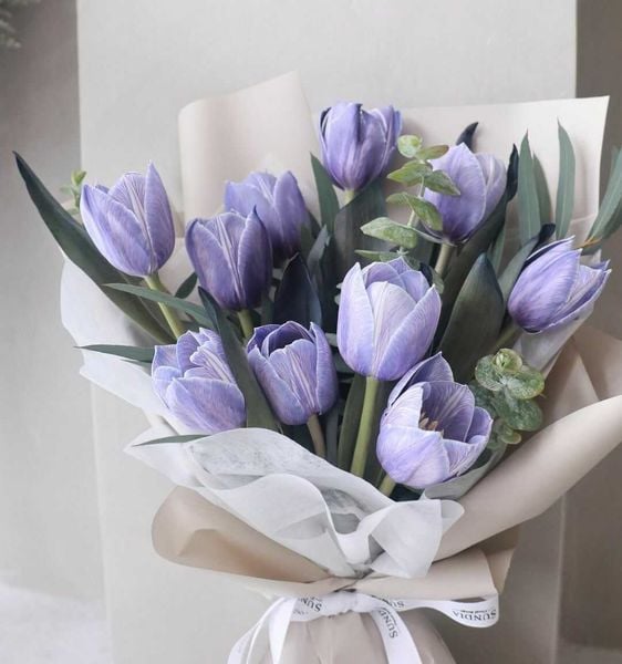 Hoa tulip sang trọng và quý phái trong sắc tím dịu dàng (Nguồn: Internet)