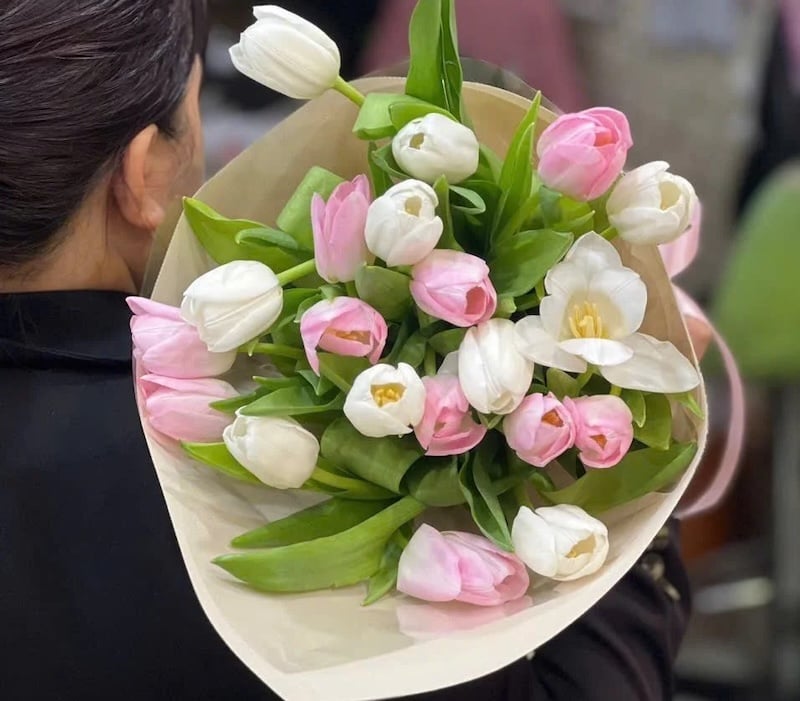 Ý nghĩa hoa tulip trắng - Khám Phá Sự Tinh Khiết và Đẹp Đẽ