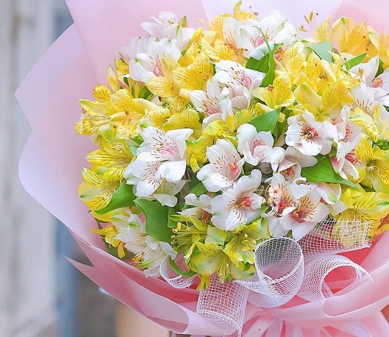 Bó hoa Thuỷ Tiên tặng Crush để bày tỏ tình yêu đơn phương