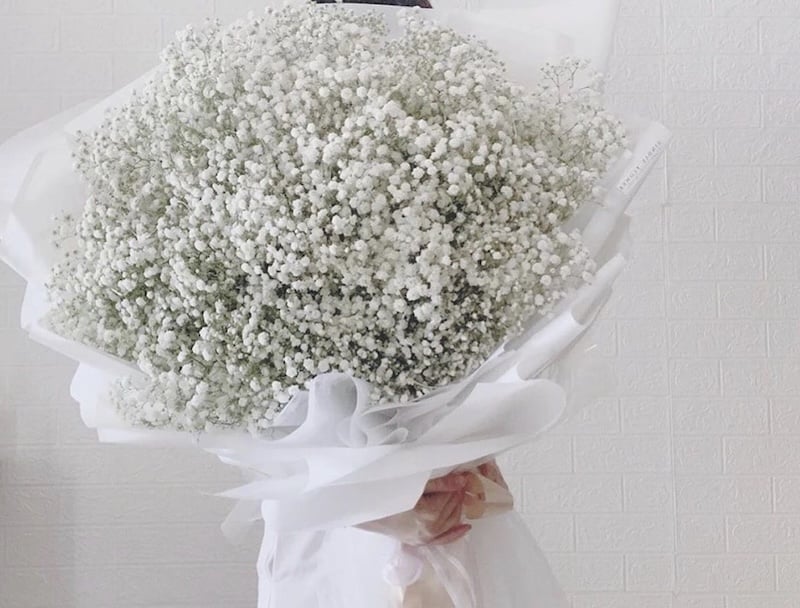 Bó hoa tặng người yêu Baby's Breath - HBT25