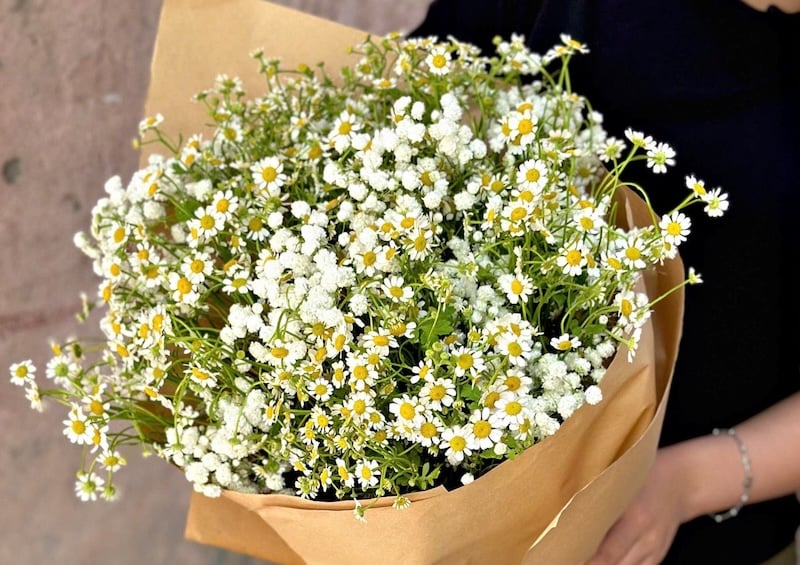 Bó Baby Mix Cúc Tana - Hoa tặng mẹ - HBT70