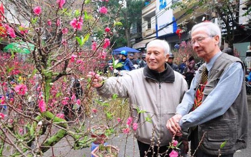 Chọn những cành đào đẹp cho ngày Tết