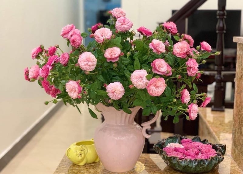 Cách cắm hoa hồng 20 bông