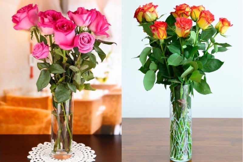 Cách cắm hoa hồng đơn giản nhất