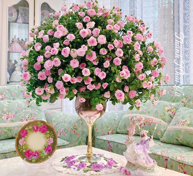 Cách cắm hoa hồng ecuador