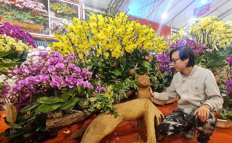 Mẫu cắm hoa lan hồ điệp sang trọng phù hợp dịp Tết