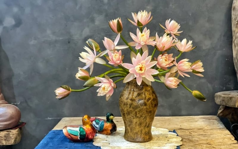 Cách cắm hoa súng đẹp với lọ cao