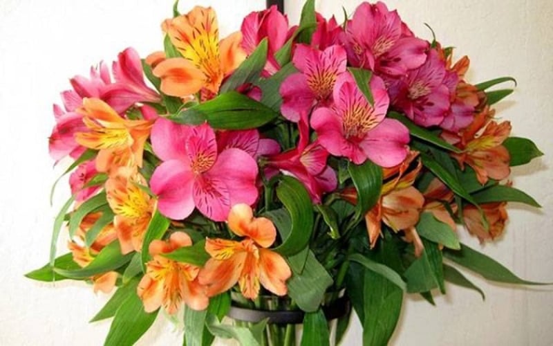 Bình hoa thủy tiên mang ý nghĩa may mắn và thịnh vượng