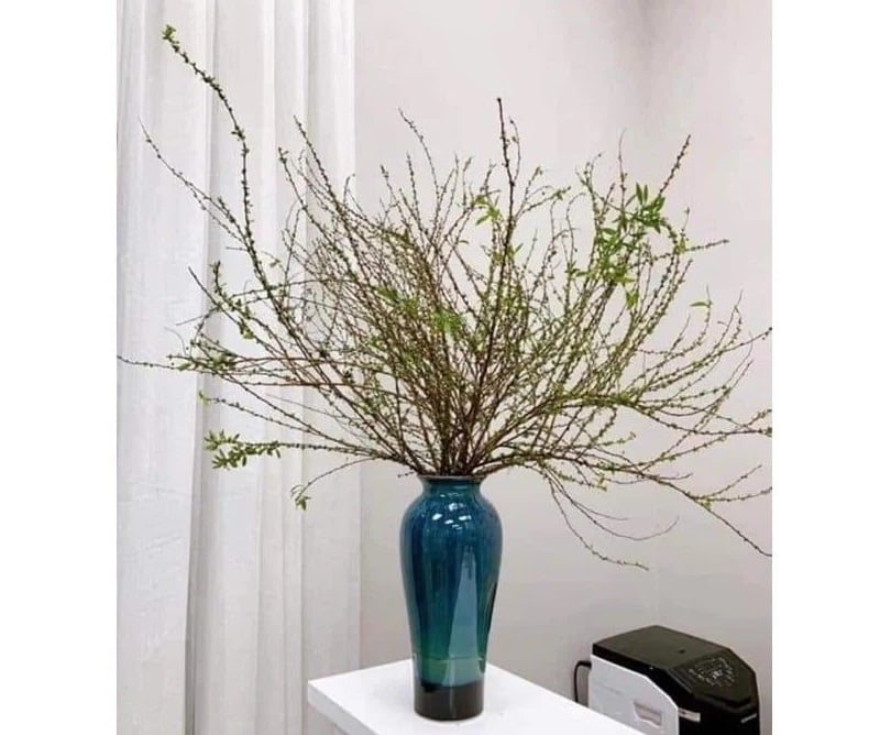 Bình Hoa Tuyết Mai - HCB68 - Hoa Chưng Tết Nguyên Đán