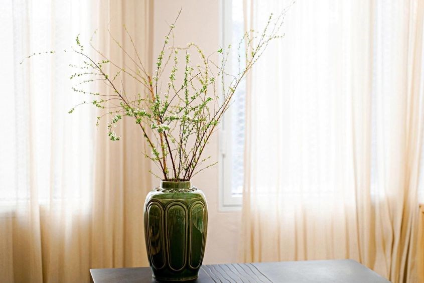 Cách cắm hoa Tuyết Mai đẹp sang phù hợp mọi không gian