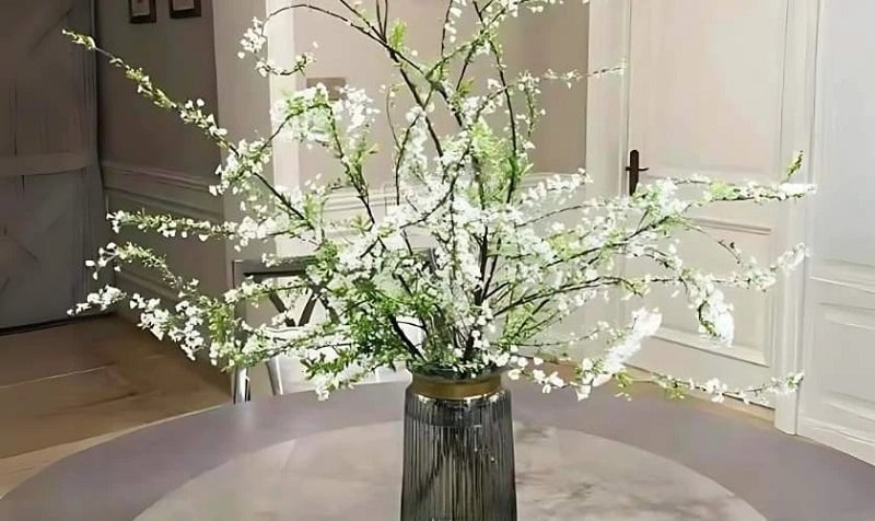Cách cắm hoa Tuyết Mai đẹp sang phù hợp mọi không gian - Flosa