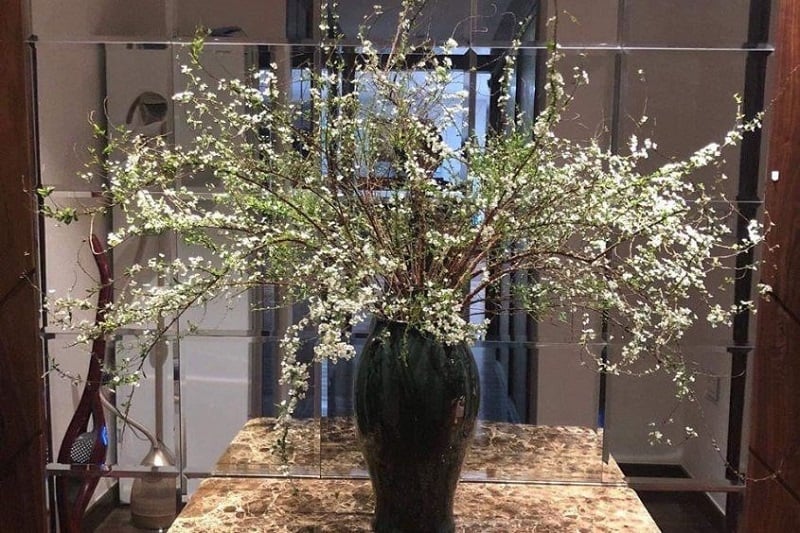 Cách cắm hoa Tuyết Mai đẹp sang phù hợp mọi không gian - Flosa