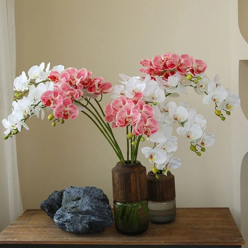 Cách cắm hoa lan 5 cành để bàn thanh lịch và hiện đại