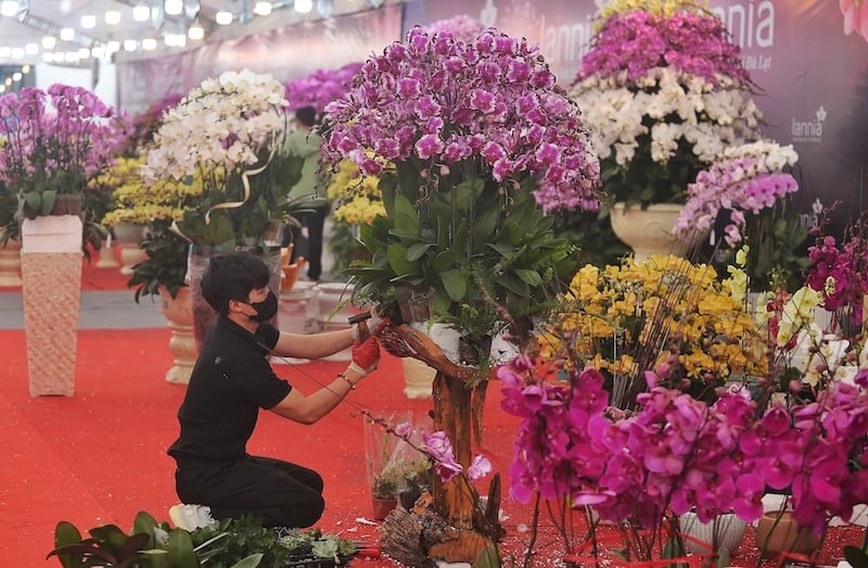 Chuẩn bị đầy đủ hoa, chậu, giá thể và dụng cụ cần thiết trước khi ghép lan hồ điệp