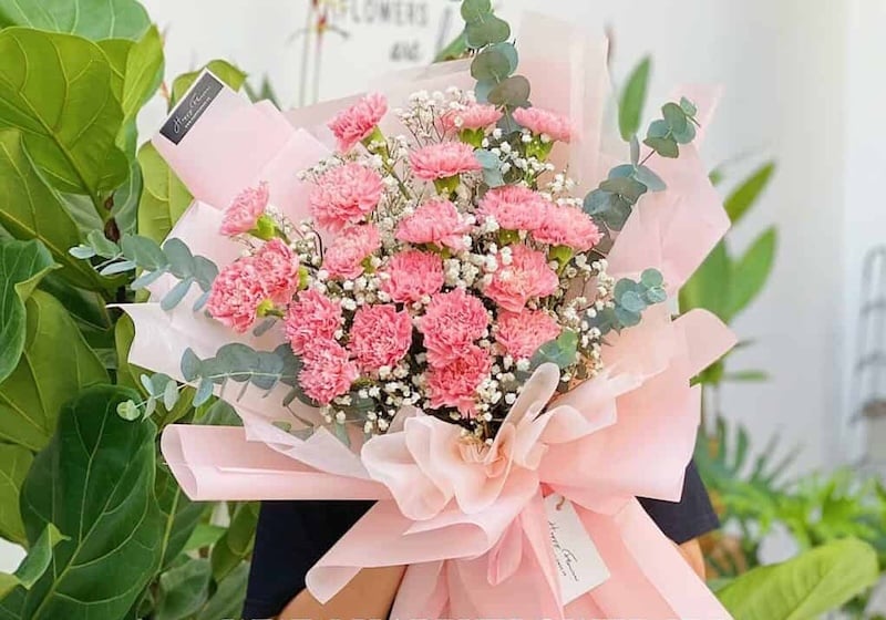 Bó hoa cẩm chướng hồng là lựa chọn hoa tặng người yêu ý nghĩa