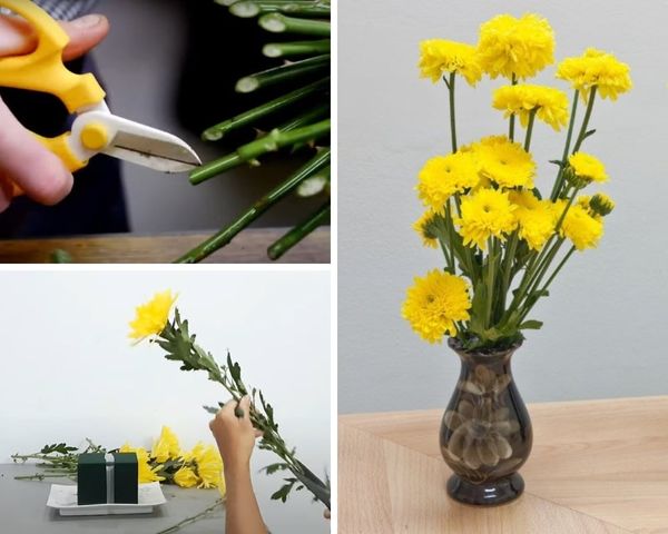 Các bước cắm hoa cúc bàn thờ truyền thống