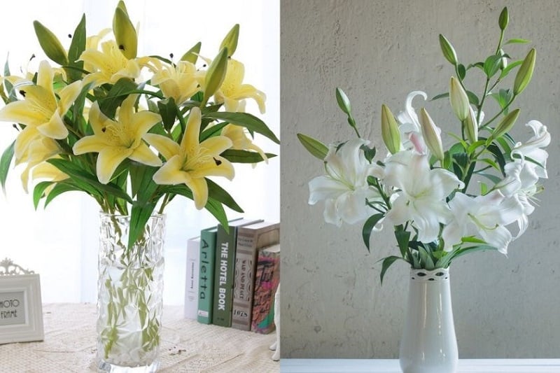 Hoa ly được tin là biểu tượng của sự thịnh vượng, may mắn và tài lộc
