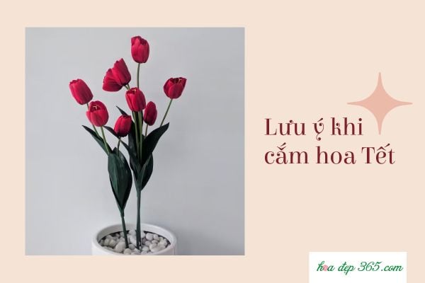 Cần chọn những loại hoa đẹp, có ý nghĩa để chưng vào ngày Tết